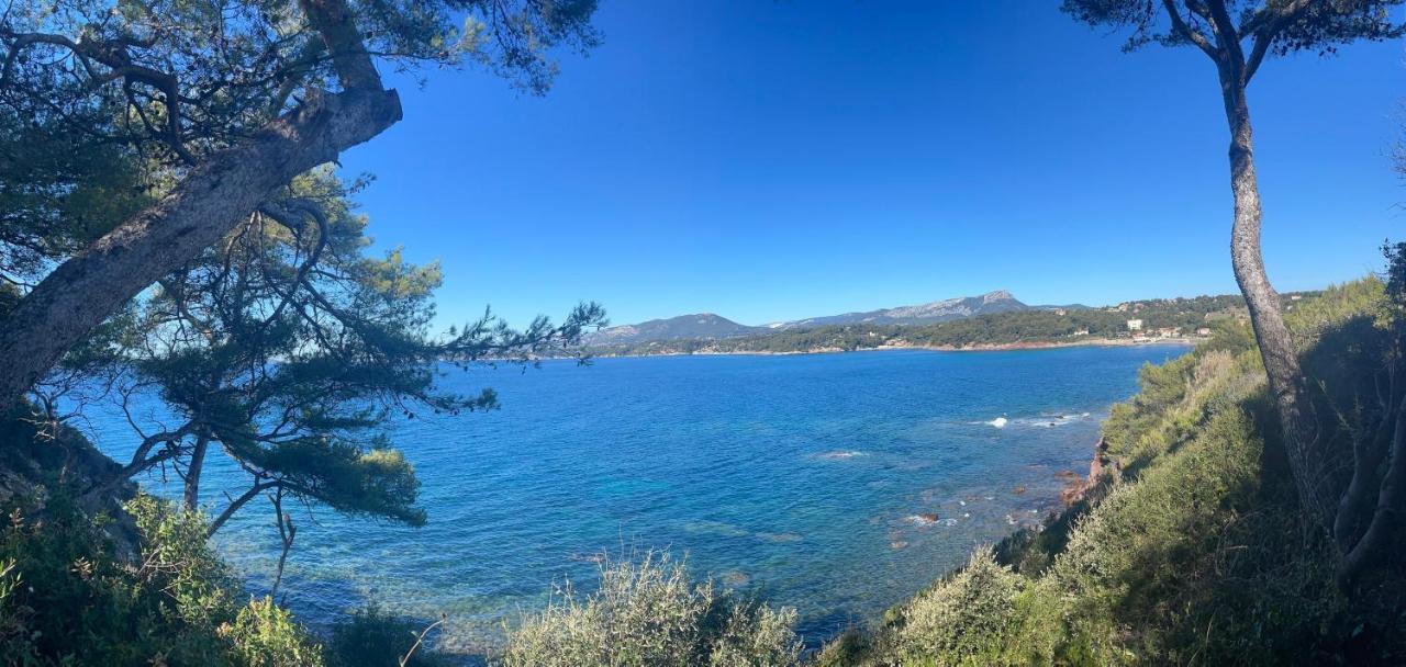 Appartement Cosy Vue Mer A 50 M De La Plage - Refait A Neuf Et Climatise Le Pradet Eksteriør bilde